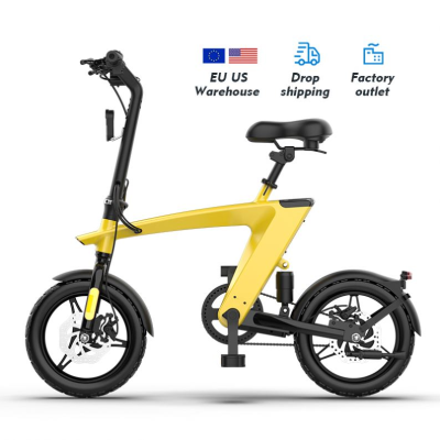 55km Long Range Motor Bike Electric Folding Bike Electric Motorbike