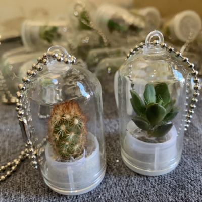 Cactus Succulent  Pet Plant with Chain for Bags