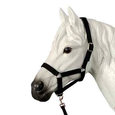 Wholesale Full Size Strong Neoprene Nylon Black Rope Horse Halter With Zinc Alloy Buckle