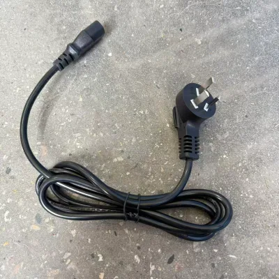 Power Plug of Orange Juice Machine 2000E2X Orange Juicer Squeezer Spare Parts