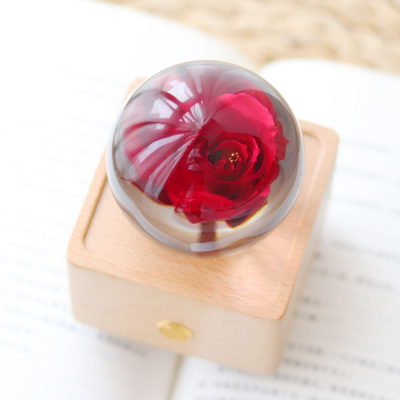 Happy Mother Day Women Gift Set Birthday Valentines Day Door Gift Wedding Gifts for Guests Preserved Real Flower LED Night Light