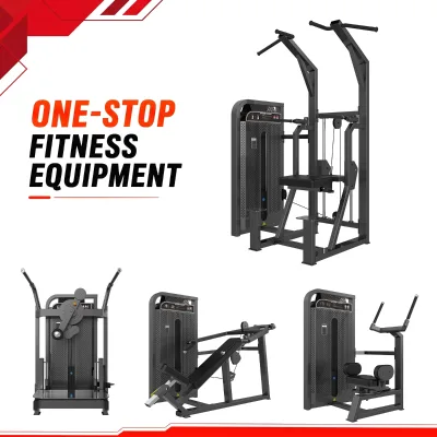 WENDY Quality Gym Equipment Pin Loaded Kneeling Type Dip Chin Assist Single Parallel Bars Pull-up Lumbar Traction Stretching
