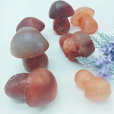 Wholesale Natural Crystal Stone Carved Mushrooms Natural Crystals Healing Hand Carved Red Agate Mushrooms for Home Decoration