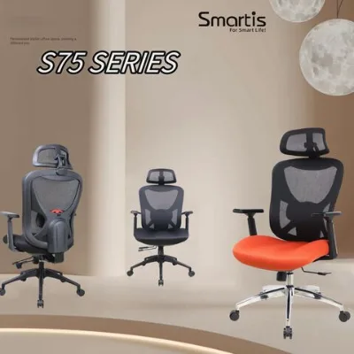 Ergonomic Office Chair with 3 Way Armrests Lumbar Support and Adjustable Headrest High Back with Tilt Function Home Office