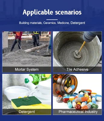 Professional Grade HPMC Powder Chemical Auxiliary Agent 99% Purity Stable Performance for Masonry Mortar