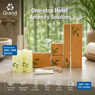 Luxury Kraft Paper Box Hotel Amenity Set Eco-friendly Biodegradable Packaging Guest Room Supplies for Star Hotels