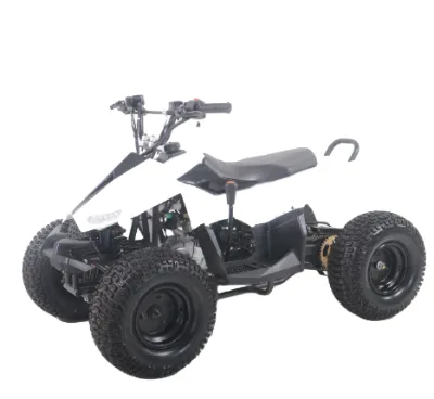 2024 Hot New China 48V 500W Youth Off-road Vehicle Safety High-speed Off-road Vehicle Electric Four-wheeler