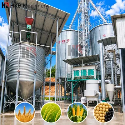 China Professional Hopper/Flat Bottom Bean Coffee Silo Grain Bin for Sale