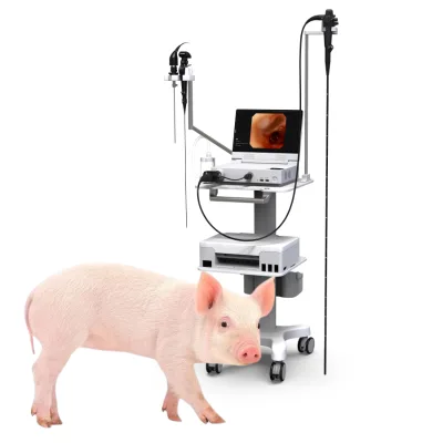 Veterinary Portable Full Hd Endoscope Camera System Full Hd for Animals