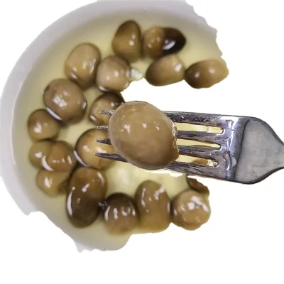 New Crop Straw Mushrooms Dried Fresh Frozen Source Cultivated and Wild Whole Canned for Export for Eating