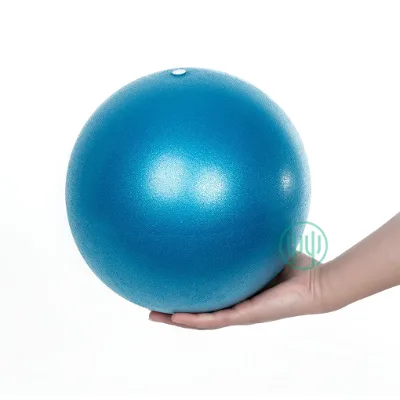 Factory Unique Yoga Accessory Mini Yoga Ball Price Small Exercise Mini Workout Physical Training Massage 25cm Yoga Ball