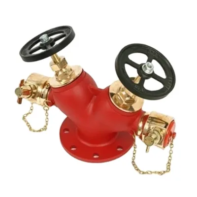 Baichuan 2.5 Inch Cast Iron Brass Indoor Outdoor Types of Fire Hydrant Landing Valve for Fire Fighting with Coupling