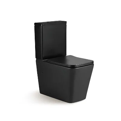 Matte Black Freestanding Toilet Ceramic One-Piece Floor Mount Toilet with Soft Close Seat for Modern Bathroom Renovation