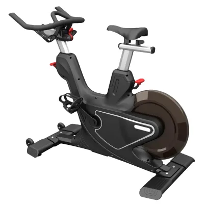 Hot Sale Belt Driven Steel Heavy Duty Exercise Gym Home Ultra-quiet Magnetic Stationary Bike Eco-Friendly LCD Display 150kg Max