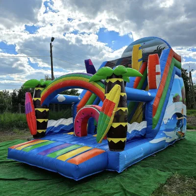 Commercial Inflatable Water Slide Tropical Coast Popular Slide Swimming Pool Jumping Castle Giant Rainbow Inflatable Dry Slide