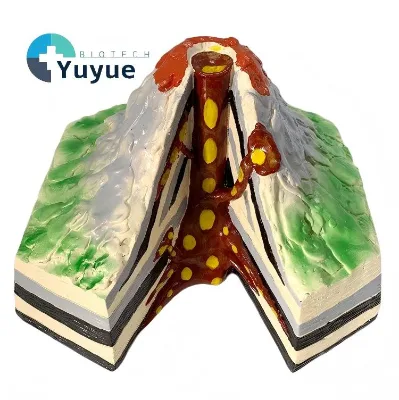 Volcano Eruption Structure Model, Magma Chamber and Lava Flow Demonstration for Geography Teaching