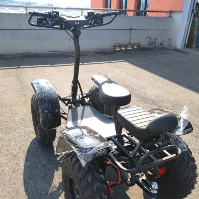 23inch 4X4 Mobility Off Road Electric Scooter Tilt Full Suspension 4 Wheel Cargo All Terrain Snow Hunting Cart