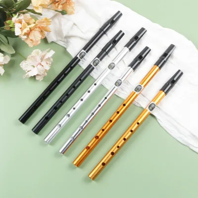 6 Holes Traditional Irish Whistle Flute C/D Key Flute Chanter Mini Pocket Musical Instrument