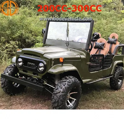 China Manufacture 200cc 250cc 300cc Willys Mini jeep for Kids Adults UTV