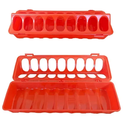 High Quality Chicken & Pigeon Feeder for Sale at Wholesale Price