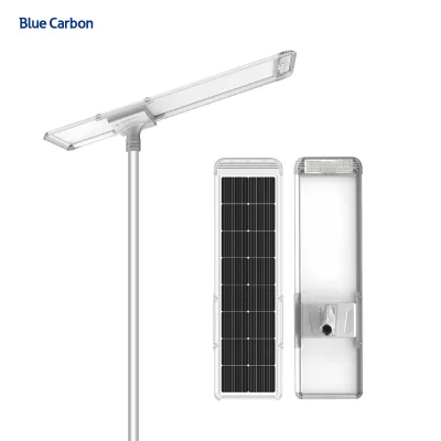 Blue Carbon Integrated 120W Solar Street Light BCT-OLF-120W Mono Solar Panel High lm Led Cheep