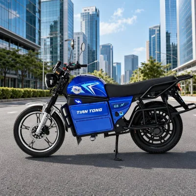 MTBGO Electric Motorcycle 72V 3000W 40AH 110KM Range 82KM/H 18 Tube Controller Oil Disc Brake Hub Motor CE Approved