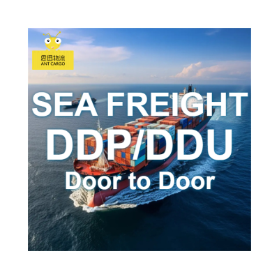 Freight Forwarder for China to Turkey/Oman Sea Cargo | Cost-Effective Ocean Freight Forwarding