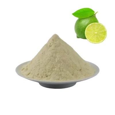 Best Price Lime Fruit Powder Wholesale Premium Key Lime Powder in Stock 100% No Additives