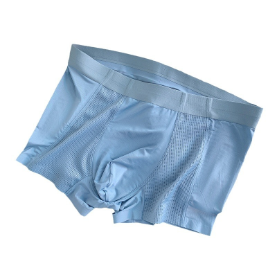 Luxury Boxers for Men Popular Brand Classic New Style Boxer Briefs Underwear Wholesale Designer Underwear