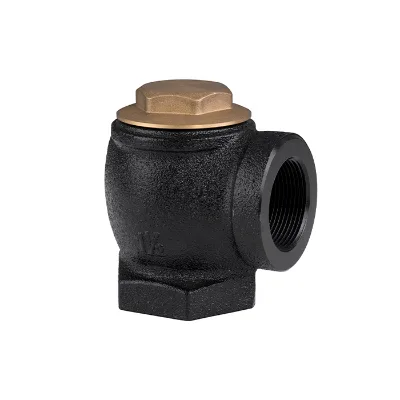 2 Inch Iron Casting Angle Check Valve for Fuel Station Petrol Service Equipment