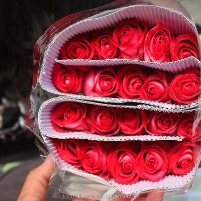 Perennial Flowering Plant Preserved Ecuador Roses Fresh Jasmine Flowers to Workmates