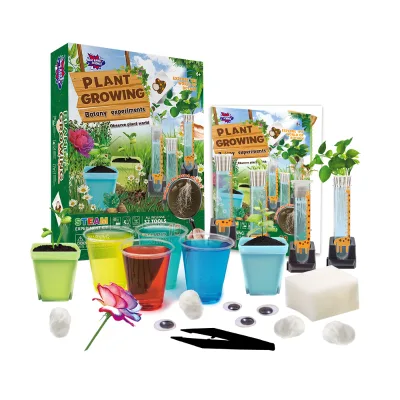 STEAM Educational Botany Experiment Science Kit Plant Growing Home Planting Harvest Happiness and Accomplishment for Kids