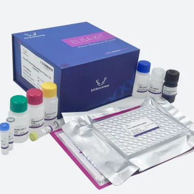 AcCoA(Acetyl CoA) ELISA Kit for Research Use