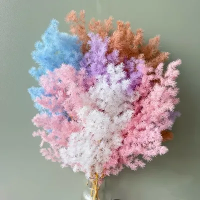 Wholesale Bohemian Dried Preserved Penglai Pine Flower for Anniversary Celebration Decor Office Desk Decoration