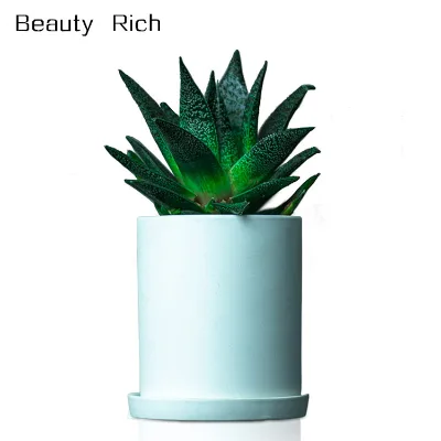 4.3 Inch Modern Flower Pot With Saucer, Decorative, Nordic Garden Cup Ceramic Clay Planter  Smooth, Elegant Form | Home, Patio