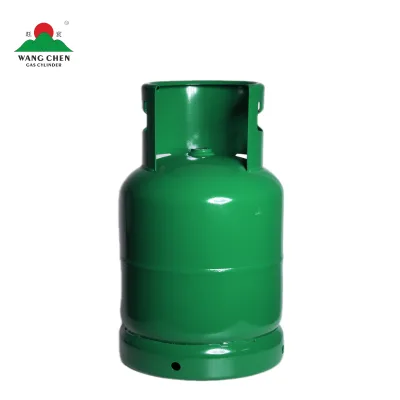 Custom 19.9LBS LPG Steel Gas Cylinder Gas Tank Safe Affordable for Argentina Cooking Market Bulk Retail