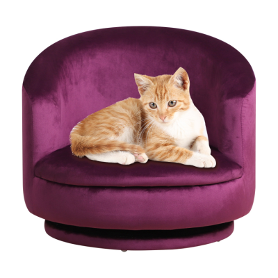 China Supplier Funny Cat Supplies for Pets