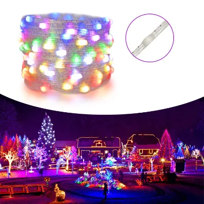 Full Color Ws2811 Strip Light Programable Christmas Decorative Outdoor RGB Point Light 5V 12V Micro Pixel Led String Light