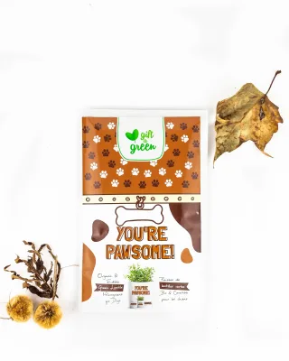 Wholesale Youre Pawsome Eco Friendly Seed Greeting Card with Custom Printed Artwork Envelope Packaging for Dog Lover Gift Retail