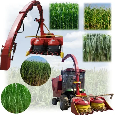 Multi Functional Sugarcane Harvester Machine Corn Cornstalk Harvester Machine Wheat Harvester Machine for Tractor
