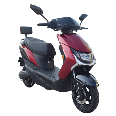 China Manufacturer Street Moped Electric Motorcycles Mopeds Powerful Scooter Electric with Pedals
