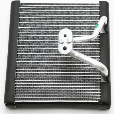Haval H6 Sport 2013-2014 / WEY VV5 Car AC Evaporator Core EV16003