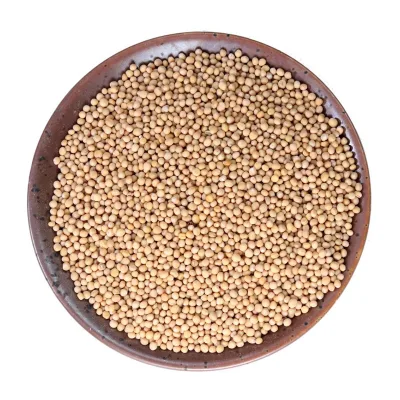 High Quality Factory White Mustard Seed Spices and Seasoning Mustard Grain for Cooking