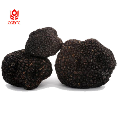 Black truffle