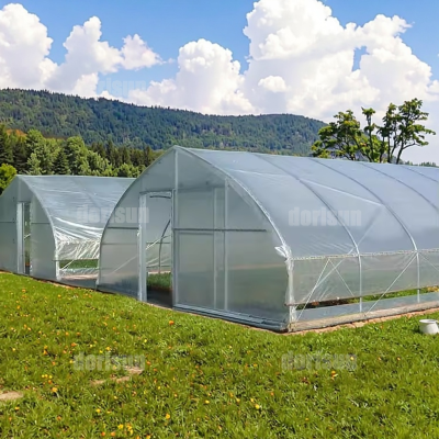Green House Commercial Grow Vegetables Strawberry Roses Mushroom Growing Green House Tunnel Greenhouse for Outdoors