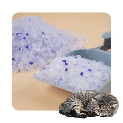 Moisture Proof Desiccant White Blue Orange Beads Strong Capacity Absorbing Silica Cat Litter