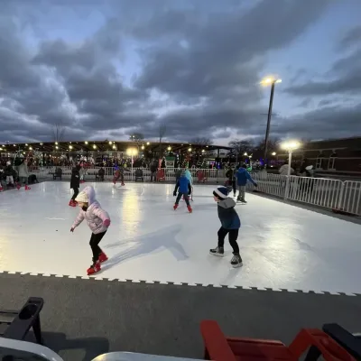 Professional-Grade Synthetic Ice Skateboard. Easy to Install. Ideal for Home Entertainment and Training