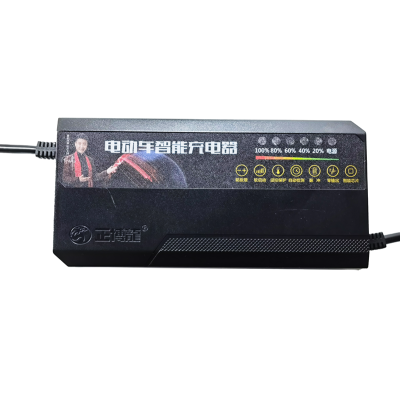 Chargers Batteries 60 Volt Battery Charger Universal Multi Rechargeable Battery Charger