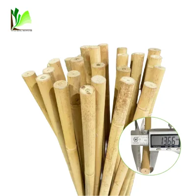 12-14mm  Dry Raw Bamboo Poles Stake for Plant Support