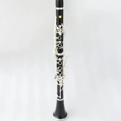 Bb Tone Clarinet with Nice Sound for Students Beginners Adults
